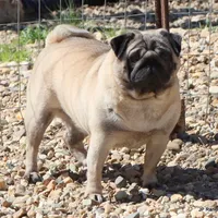 processed/86841252-d96f-490d-830f-8708d3f4c4ea/facility/38e7e8b4-2a67-408e-9539-0b55ccfd037f