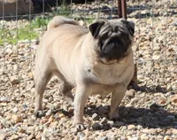 processed/86841252-d96f-490d-830f-8708d3f4c4ea/facility/38e7e8b4-2a67-408e-9539-0b55ccfd037f