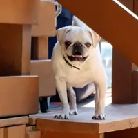 processed/86841252-d96f-490d-830f-8708d3f4c4ea/facility/5e9e0613-b717-4932-8f2f-b137928679d3