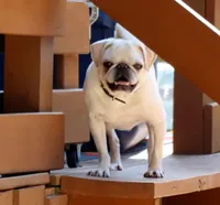 processed/86841252-d96f-490d-830f-8708d3f4c4ea/facility/5e9e0613-b717-4932-8f2f-b137928679d3