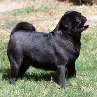 processed/86841252-d96f-490d-830f-8708d3f4c4ea/facility/6094c47c-9f01-4671-9749-3bfdacafc409