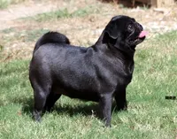 processed/86841252-d96f-490d-830f-8708d3f4c4ea/facility/6094c47c-9f01-4671-9749-3bfdacafc409