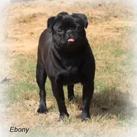 processed/86841252-d96f-490d-830f-8708d3f4c4ea/facility/65523299-3f34-4654-b278-6b9f765b7474