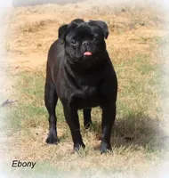 processed/86841252-d96f-490d-830f-8708d3f4c4ea/facility/65523299-3f34-4654-b278-6b9f765b7474