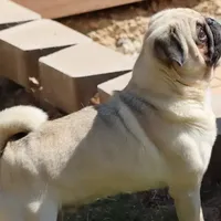 processed/86841252-d96f-490d-830f-8708d3f4c4ea/facility/6a6160c9-b2b8-4995-9c6f-5043a5e38bbf