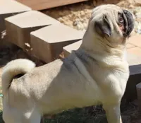 processed/86841252-d96f-490d-830f-8708d3f4c4ea/facility/6a6160c9-b2b8-4995-9c6f-5043a5e38bbf