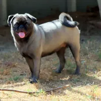 processed/86841252-d96f-490d-830f-8708d3f4c4ea/facility/b5b9b6e7-14a5-4a6a-91a4-cf7d945a47df