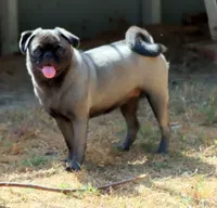 processed/86841252-d96f-490d-830f-8708d3f4c4ea/facility/b5b9b6e7-14a5-4a6a-91a4-cf7d945a47df