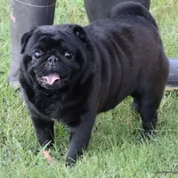 processed/86841252-d96f-490d-830f-8708d3f4c4ea/facility/ba170527-bc2b-4f8f-97c0-41841484289b