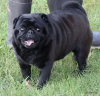 processed/86841252-d96f-490d-830f-8708d3f4c4ea/facility/ba170527-bc2b-4f8f-97c0-41841484289b