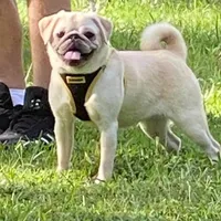 processed/86841252-d96f-490d-830f-8708d3f4c4ea/facility/f565dc67-465e-4c52-abb6-aa31eeb4e90b