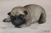 processed/86841252-d96f-490d-830f-8708d3f4c4ea/listing/1b25b7a0-d39f-4936-81df-bded59e64bc0/5e4086ef-2e52-4973-a171-d2ff522d9c1f