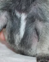 processed/86841252-d96f-490d-830f-8708d3f4c4ea/listing/1b25b7a0-d39f-4936-81df-bded59e64bc0/6e3bf076-af8b-41e7-bc88-2f7381eabab7