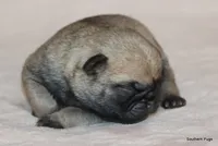 processed/86841252-d96f-490d-830f-8708d3f4c4ea/listing/1b25b7a0-d39f-4936-81df-bded59e64bc0/9ad2ae93-ca9b-4346-9e0f-35d36ba424ba