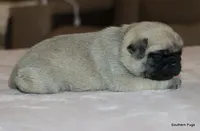 processed/86841252-d96f-490d-830f-8708d3f4c4ea/listing/396ca87e-fdff-4d0a-b53e-5d1853a5c521/0ce5ac07-ec58-4223-8f0a-a032e27ef31a