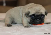 processed/86841252-d96f-490d-830f-8708d3f4c4ea/listing/396ca87e-fdff-4d0a-b53e-5d1853a5c521/16526d52-12bd-486c-9c8d-dea3dcfd46f6