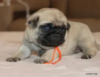 processed/86841252-d96f-490d-830f-8708d3f4c4ea/listing/396ca87e-fdff-4d0a-b53e-5d1853a5c521/1a166a2f-2cbd-4d80-9f4a-4b178ef5b8f1