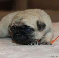 processed/86841252-d96f-490d-830f-8708d3f4c4ea/listing/396ca87e-fdff-4d0a-b53e-5d1853a5c521/32b065c7-57e7-4c6d-97e4-26eee166ed58