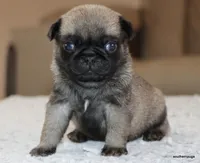 processed/86841252-d96f-490d-830f-8708d3f4c4ea/listing/442aa925-cc3b-46ab-bdc6-206a7bacbef3/2b8dd3cb-4290-4f17-b409-6c6ba01190b1