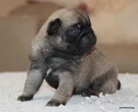 processed/86841252-d96f-490d-830f-8708d3f4c4ea/listing/442aa925-cc3b-46ab-bdc6-206a7bacbef3/85dbf72f-9a80-4e73-8cc9-706f7e301ed2