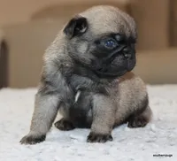 processed/86841252-d96f-490d-830f-8708d3f4c4ea/listing/442aa925-cc3b-46ab-bdc6-206a7bacbef3/d5bd2b18-1a0c-488c-a8a2-68ec04603247