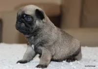 processed/86841252-d96f-490d-830f-8708d3f4c4ea/listing/442aa925-cc3b-46ab-bdc6-206a7bacbef3/f23416d2-ed43-4f3d-8151-330fa80cdbae