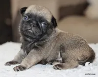 processed/86841252-d96f-490d-830f-8708d3f4c4ea/listing/95aa54eb-132d-439b-8655-8609ea84496d/761ab413-c77d-4c7f-a6d5-e0f5c4848cf4