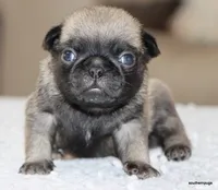 processed/86841252-d96f-490d-830f-8708d3f4c4ea/listing/95aa54eb-132d-439b-8655-8609ea84496d/761de20b-8284-4574-bcb0-08905e3f3107