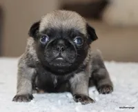 processed/86841252-d96f-490d-830f-8708d3f4c4ea/listing/95aa54eb-132d-439b-8655-8609ea84496d/870e9b79-c91c-4ae2-ad1d-1c7892f721df