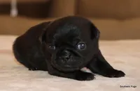 processed/86841252-d96f-490d-830f-8708d3f4c4ea/listing/c2f46cfe-a5a4-472c-a51a-f957dc4faa58/32f71cbf-747a-4c66-b917-9660c9efeaec