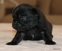 processed/86841252-d96f-490d-830f-8708d3f4c4ea/listing/c2f46cfe-a5a4-472c-a51a-f957dc4faa58/3876f39d-d155-4497-9881-49540fa38029