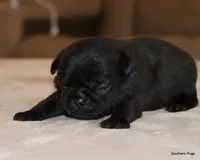 processed/86841252-d96f-490d-830f-8708d3f4c4ea/listing/c2f46cfe-a5a4-472c-a51a-f957dc4faa58/77fd507c-7d47-40f6-b7a2-40aab47a0281