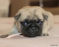 processed/86841252-d96f-490d-830f-8708d3f4c4ea/listing/c5d42009-981b-4d29-868f-dd0f2e863346/10ecbc3c-428b-4d40-99f3-a62093ed29c9