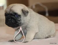 processed/86841252-d96f-490d-830f-8708d3f4c4ea/listing/c5d42009-981b-4d29-868f-dd0f2e863346/5953f9bf-b65b-4fb1-aa5e-e542da15e1c9