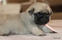 processed/86841252-d96f-490d-830f-8708d3f4c4ea/listing/c5d42009-981b-4d29-868f-dd0f2e863346/7306e52b-b678-426c-aa0e-13ce4a297802