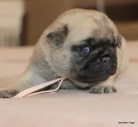 processed/86841252-d96f-490d-830f-8708d3f4c4ea/listing/c5d42009-981b-4d29-868f-dd0f2e863346/872b43c2-d54f-4b8f-87b6-7f53b933b399