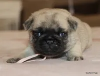 processed/86841252-d96f-490d-830f-8708d3f4c4ea/listing/c5d42009-981b-4d29-868f-dd0f2e863346/9a88fc8c-6ba4-462c-80c2-226cbe0ae033