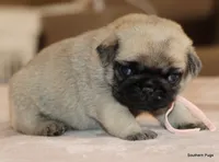 processed/86841252-d96f-490d-830f-8708d3f4c4ea/listing/c5d42009-981b-4d29-868f-dd0f2e863346/f982de3b-fe8d-41e7-b3d5-37b6bb782416