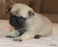 processed/86841252-d96f-490d-830f-8708d3f4c4ea/listing/edbfc400-66ac-456f-a5a4-e56dbcb96d98/359e6737-f560-49ae-ba13-2e5e82208bf8