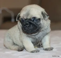 processed/86841252-d96f-490d-830f-8708d3f4c4ea/listing/edbfc400-66ac-456f-a5a4-e56dbcb96d98/7bea22a8-9fa4-41ec-9462-b3316d976291