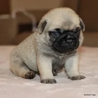 processed/86841252-d96f-490d-830f-8708d3f4c4ea/listing/edbfc400-66ac-456f-a5a4-e56dbcb96d98/9b3bc81b-2757-4487-bdf0-cb9c82611b57