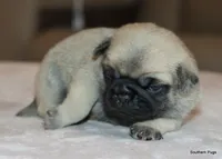 processed/86841252-d96f-490d-830f-8708d3f4c4ea/listing/edbfc400-66ac-456f-a5a4-e56dbcb96d98/9cf8fec6-1189-4d6e-b37d-5a22e318b225