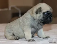 processed/86841252-d96f-490d-830f-8708d3f4c4ea/listing/edbfc400-66ac-456f-a5a4-e56dbcb96d98/aee3c6d3-bd04-4c00-a655-471af2150868