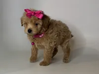 processed/868b1f59-425f-4fb7-9f88-43a4f1c7a058/listing/354d4eaf-908f-4308-adb1-e9e8f10206d6/cb1e62b1-38a8-429d-9283-3923b8593fd4