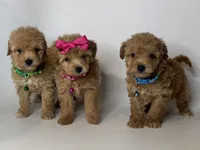 processed/868b1f59-425f-4fb7-9f88-43a4f1c7a058/listing/ebb17e3e-d14a-48ac-afb5-063c73550e4c/827d1156-93a2-421c-a888-7c5e950e3686