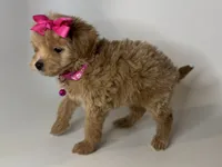 processed/868b1f59-425f-4fb7-9f88-43a4f1c7a058/listing/ebb17e3e-d14a-48ac-afb5-063c73550e4c/9a951c08-0769-44ff-a69a-ea9c1ea70554