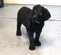 processed/869173f1-8e31-4532-9796-52e48ad84c7f/listing/1eddbb30-4635-4806-98e9-76f94be09cad/21f403f5-a5f2-46c9-a92b-e890e5636f98