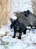 processed/869173f1-8e31-4532-9796-52e48ad84c7f/listing/1eddbb30-4635-4806-98e9-76f94be09cad/29f38c10-e76a-46cd-b534-c882543def54