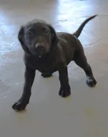 processed/869173f1-8e31-4532-9796-52e48ad84c7f/listing/4a692047-ed63-491e-b874-c33b3d6bedf7/9ddf6700-efe7-4cc3-8c48-f54d9d18e698