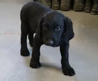 processed/869173f1-8e31-4532-9796-52e48ad84c7f/listing/b6d1044d-a70a-4ed5-a368-6416aa2049d9/a8a278bf-24d5-4eab-b1ab-9010a5a73b68